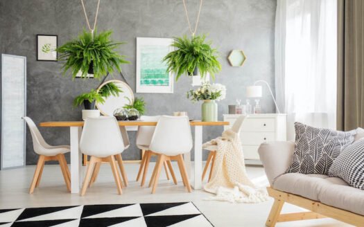 Viman Nagar Studio Apartment
